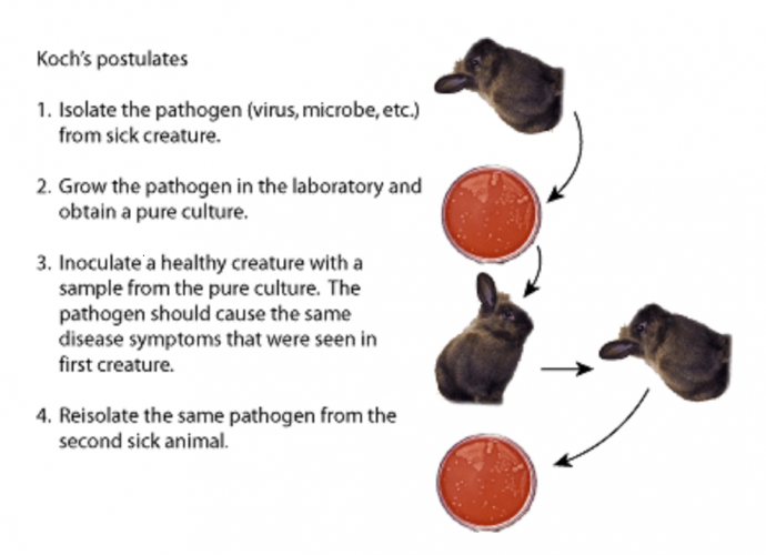 Kochs postulates explained
